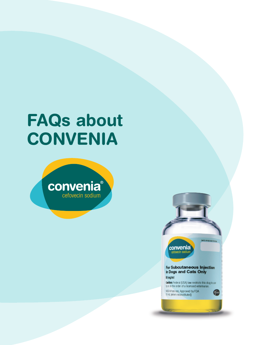 convenia-inject-10-ml