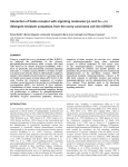 FR in detergent-insoluble complexes - Journal of Cell Science