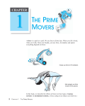 Chapter 1 The Prime Movers