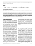 Form, Function, and Regulation of ARGONAUTE Proteins