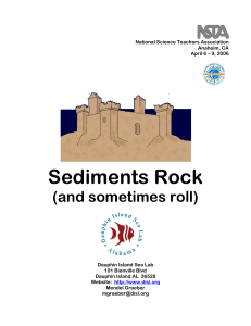 Sediments Rock - Dauphin Island Sea Lab