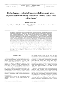 Disturbance, colonial fragmentation, and size