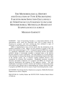 the microbiological history and evolution of type iinecrotizing fasciitis