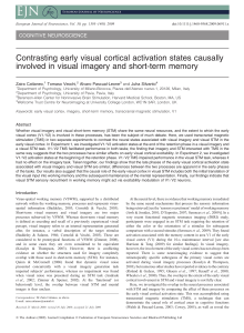 Contrasting early visual cortical activation states causally involved in