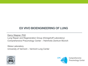 ex vivo bioengineering of lung - HELENA