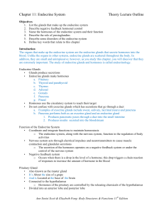 Chapter 11: Endocrine System Theory Lecture Outline