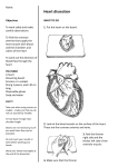 Heart dissection - misssimpson.com