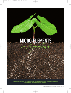 micro-elements micro-elements - Haifa