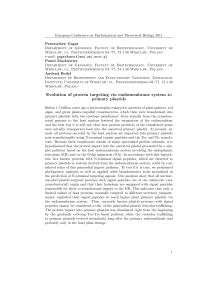 Evolution of protein targeting via endomembrane system to primary