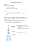 Cell Division – Revision Pack (B3)