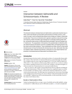 Interaction between Salmonella and Schistosomiasis: A Review