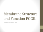 Membrane Structure and Function POGIL