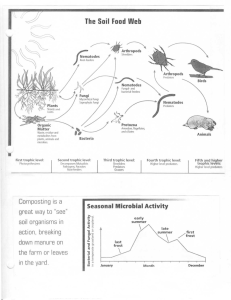 The Soil Food Web Seasonal Microbial Activity