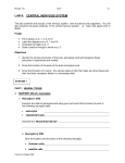lab 8: central nervous system