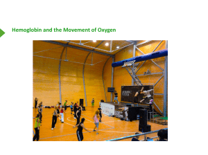 Hemoglobin and the Movement of Oxygen