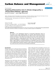 Targeting deforestation rates in climate change policy: a