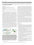 Berger et al 2010 Geology Canary - Morocco