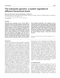 The eukaryotic genome: a system regulated at different hierarchical