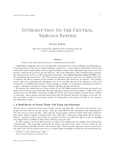 Introduction to the Central Nervous System