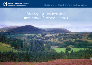 Managing invasive and non-native forestry species