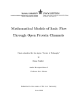 Mathematical Models of Ionic Flow Through Open Protein Channels