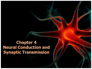 Action Potentials