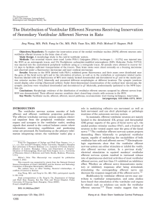 The distribution of vestibular efferent neurons receiving innervation