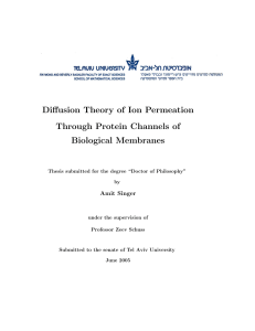 Diffusion Theory of Ion Permeation Through Protein Channels of