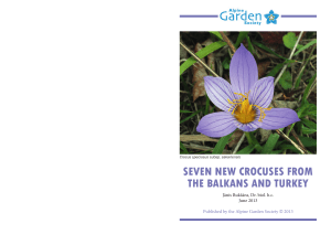 SEVEN NEW CROCUSES FROM THE BALKANS AND TURKEY