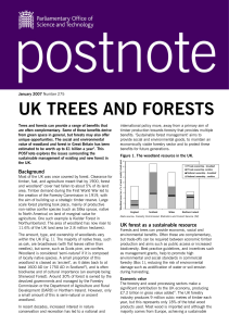 uk trees and forests