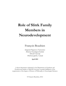 Role of Slitrk Family Members in