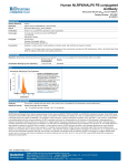 Human NLRP6/NALP6 PE-conjugated Antibody