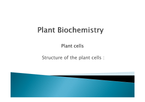 Plant cells Structure of the plant cells :