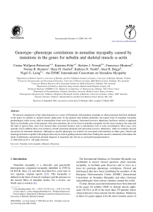 Genotype–phenotype correlations in nemaline myopathy caused by