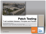 Patch Testing