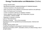 Energy Transformation and Metabolism (Outline)