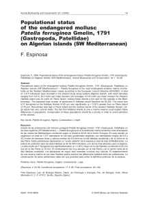 Populational status of the endangered mollusc Patella ferruginea