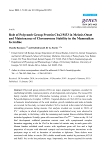 Role of Polycomb Group Protein Cbx2/M33 in Meiosis Onset and