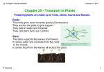 25 - Transport in Plants.notebook