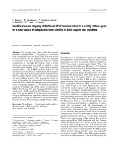 Identification and mapping of RAPD and RFLP markers linked to a