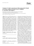 Transport of virally expressed green fluorescent protein through the