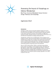 Assessing the Impact of Autophagy on Cellular Metabolism