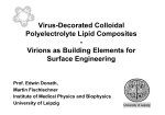 Virus-Decorated Colloidal Polyelectrolyte Lipid Composites