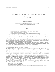 Anatomy of Selected Synovial Joints