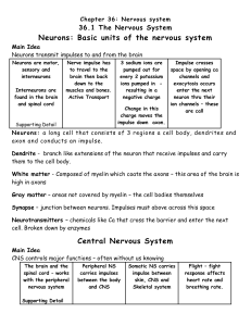 36.1 The Nervous System Neurons: Basic units of