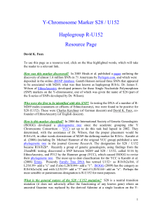 Y-Chromosome Marker S28 / U152 Haplogroup