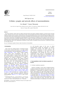 Cellular, synaptic and network effects of neuromodulation