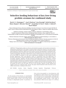 Selective feeding behaviour of key free