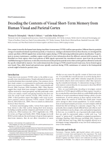 Decoding the Contents of Visual Short