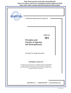 Principles and Practice of Agarose Gel Electrophoresis